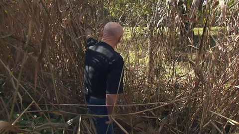 Nedej se! - Nebezpečný precedent