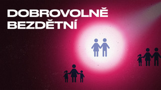 Dobrovolně bezdětní