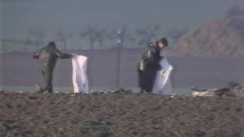 Archiv dne - 18. listopad 1990: Polní pych u Dubence