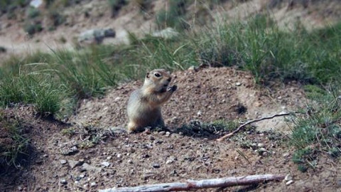 Na cestě - Na cestě po Albertě