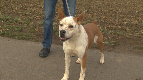 Chcete mě? - Chcete je?