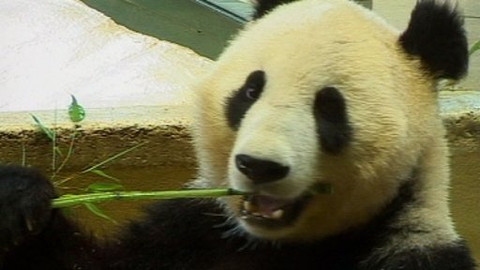 Objektiv - 29. dubna 2007