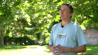 Muž, který zalévá stromy