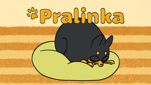 Obrázek pořadu Pralinka