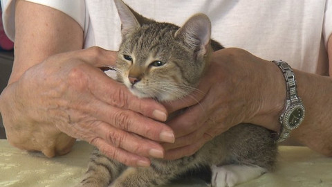 Chcete mě? - Chcete je?