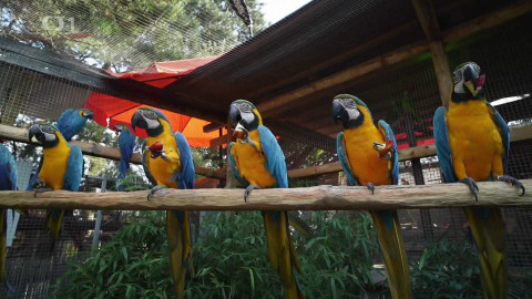 Polopatě - 22. září 2024