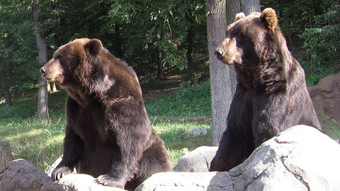 Máte mě! - 6. listopadu 2011