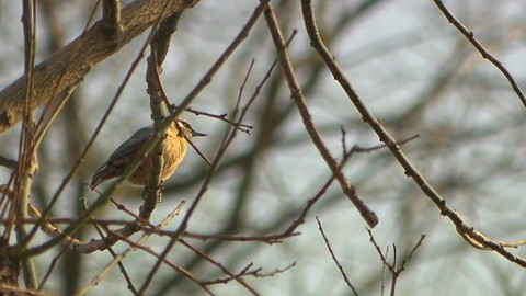 Turbulence - 20. března 2011