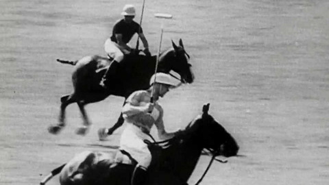 Archiv D - Aréna světového sportu