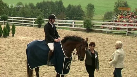 Jezdectví - Podzimní šampionáty ve všestrannosti 2014 Borová