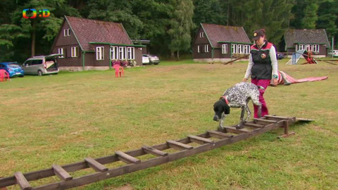 Terčin zvířecí svět - 22. listopadu 2019