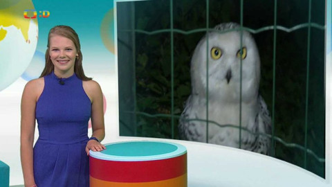 Zprávičky - 8. července 2017