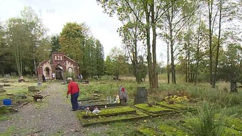 Wiadomości w języku polskim - 24. října 2021