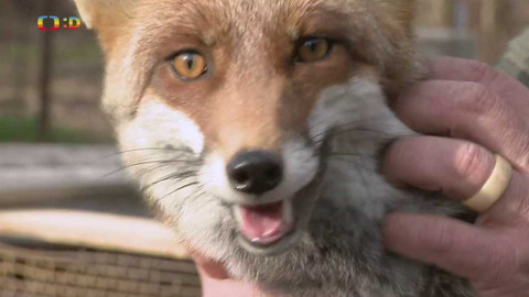 Terčin zvířecí svět - 10. června 2022