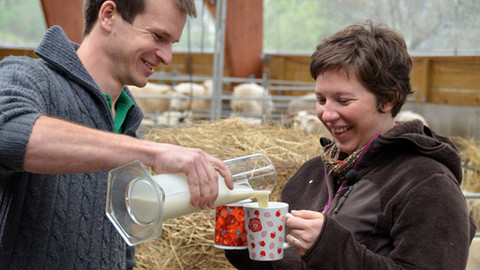 Malá farma - Ruční dojení