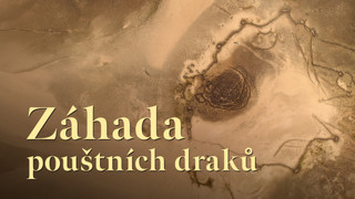 Záhada pouštních draků