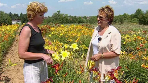 Dobrá rada nad zlato - 7. října 2006