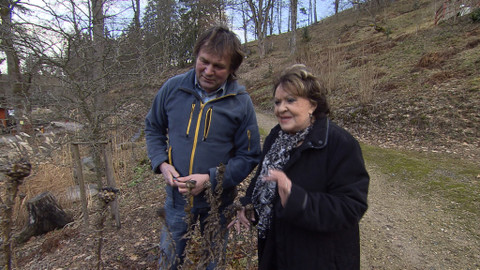 Hobby naší doby - 1. dubna 2017