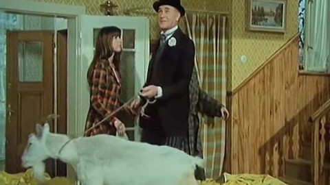 Pan Tau - Pan Tau a pes Kozopes