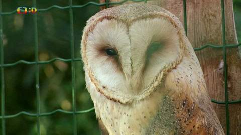 Terčin zvířecí svět - 30. září 2022