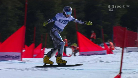 Světový pohár ve snowboardingu - Německo