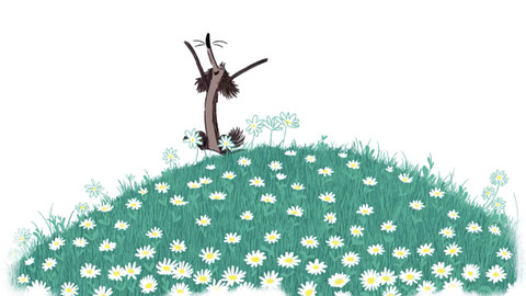 Kamarádi z koše - 26/52 Drban hledá ovečky