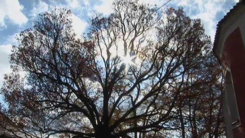 Živé srdce Evropy - Břek v Železné