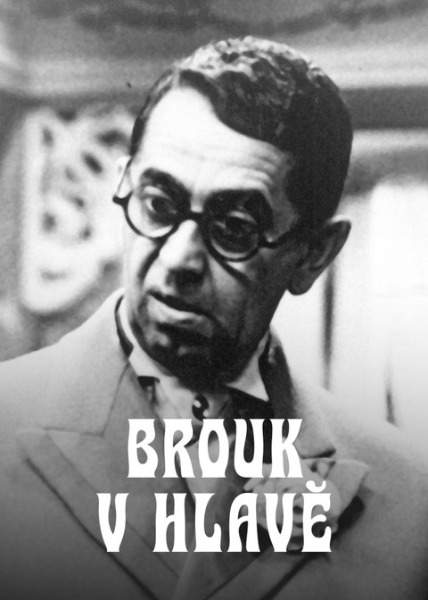 Brouk v hlavě