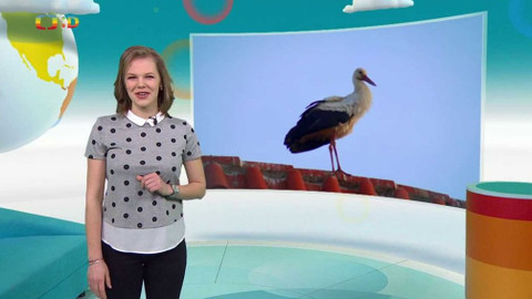 Zprávičky - 1. dubna 2021