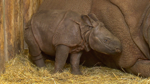 Chcete mě? - 19. března 2017
