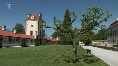 Toulavá kamera - 14. srpna 2011