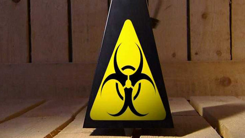 Popularis - 29. listopadu 2005