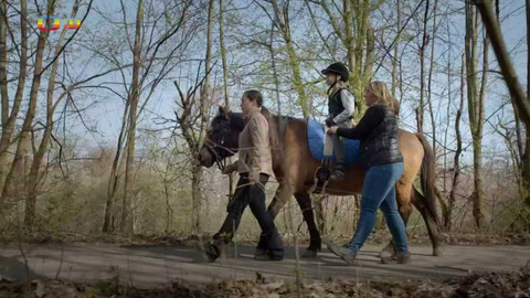 Zvířecí profesionálové - Kůň, který pomáhá uzdravovat