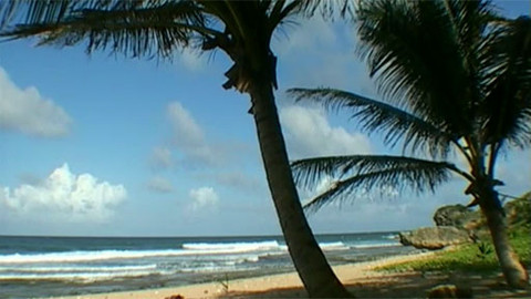 Cestománie - Barbados