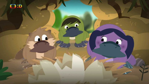 Země patří Luně - 13/26 Australské zvířátko