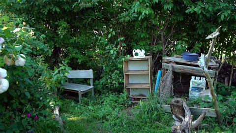 Nedej se! - Chválit plevel a lilie pěstovat