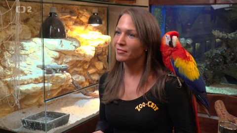 Kvarteto - 18. ledna 2017