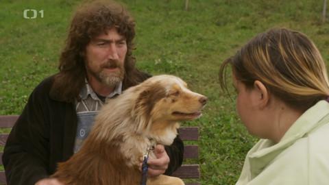 Kočka není pes - Zlobivý kocour Sam a bojácný pes Brix