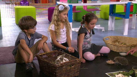 UčíTelka - Člověk a jeho svět (v TV nevysíláno)