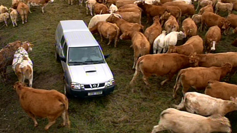 Náš venkov - Sudetské rodeo