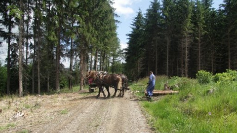 Království za koně - Epizoda 4/9