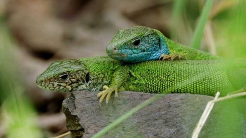 Planeta Praha: co ve filmu nebylo - 2/5 Pražské stepi