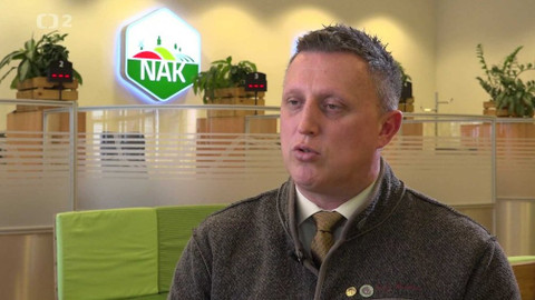 Kvarteto - Mezinárodní projekty s podporou visegrádského fondu