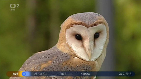 Dobré ráno - 24. července 2018