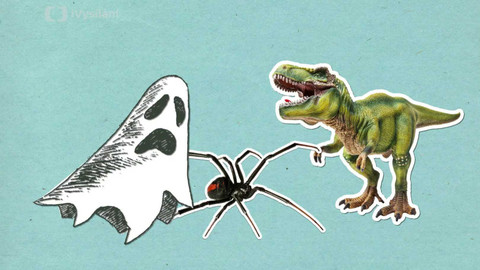 To je něco! - Co vyvolává noční můry?