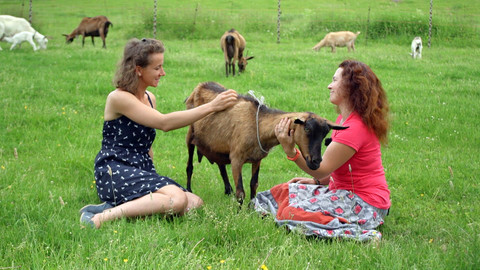 Co naše babičky uměly a na co my jsme zapomněli - Soběstačnost