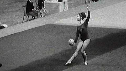 Archiv D - Půvabný šampionát