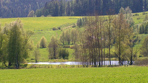 Nedej se! - Po nás poušť?