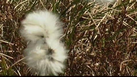 Přidej se - Jakou cenu má příroda?