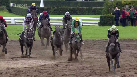 Velká pardubická - historie - 2017